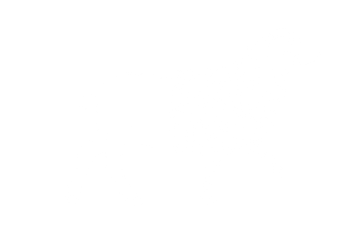 Background-image